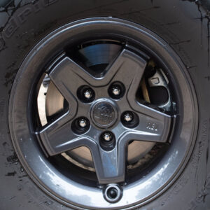 AEV Pintler disk kola